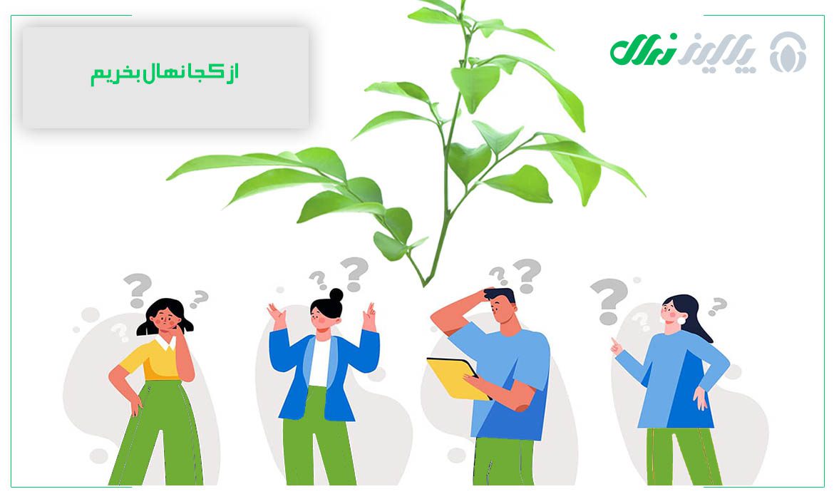 از کجا نهال بخریم؟ - تصویر 3