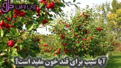 آیا سیب برای قند خون مفید است؟
