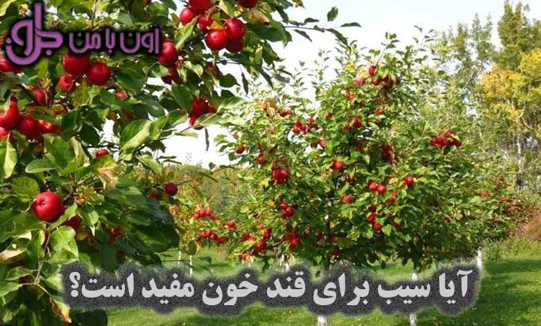 آیا سیب برای قند خون مفید است؟